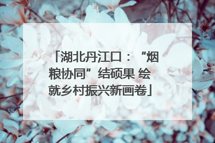 湖北丹江口：“烟粮协同”结硕果 绘就乡村振兴新画卷